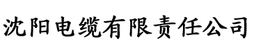 星空闪耀视频电缆厂logo